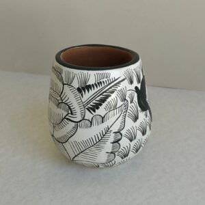 Vaso STD – BLA