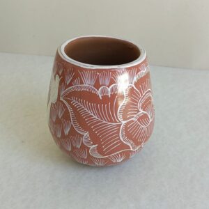 Vaso STD – ROS